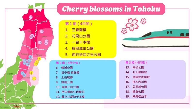 Grouping cherry blossom viewing sites in Tohoku. (Image credit: JR East / Carissa Loh)