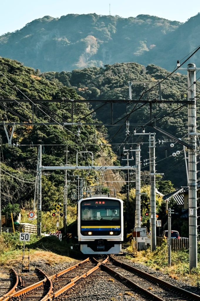 JR 內房線 濱金谷站（提供：武川健太）