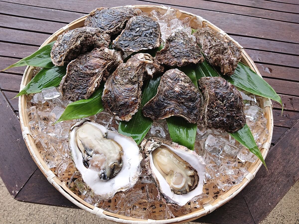 （圖片提供：鳥海山・飛島ジオパーク推進協議会）