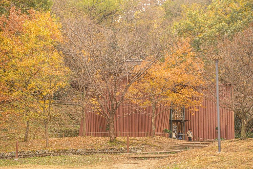 森之家，兩層樓作為展示的建築，用飯能市的特產西川木材打造，外觀如同波浪的造型。