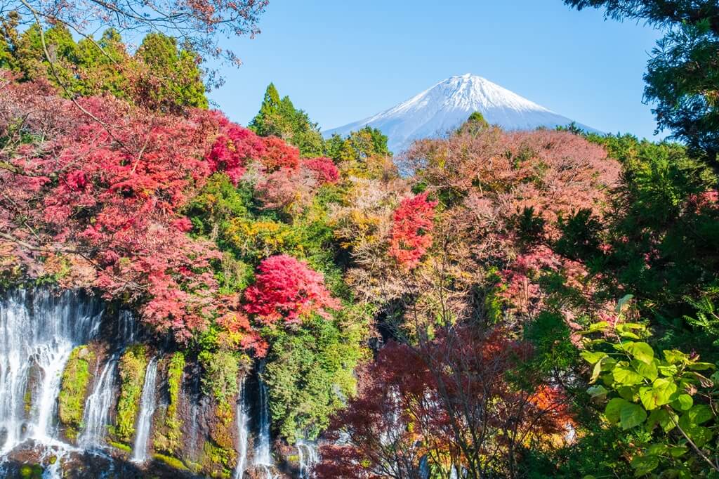 2013年登錄為世界文化遺產的富士山，構成資產達25處