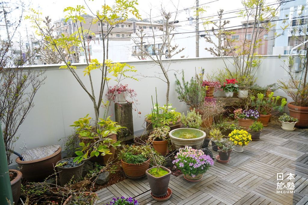 陽台邊的小小風景也不錯，各種植物模樣可愛