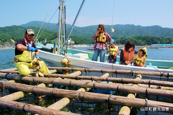當地漁夫也會將船隻停靠牡蠣養殖架，為來客介紹山田灣的養殖業
