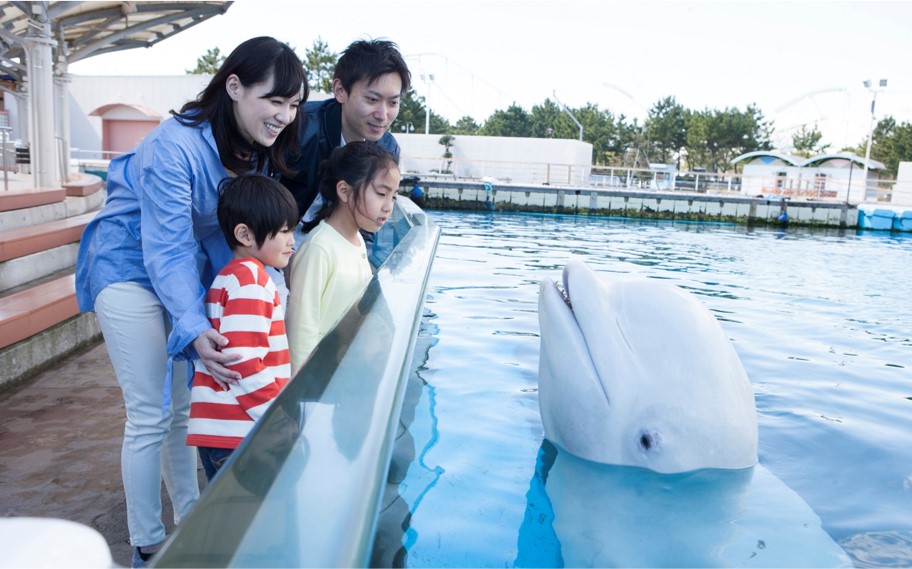 ▲橫濱‧八景島海島樂園