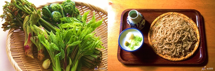 山野菜和蕎麥麵。(Image credit: Tourism Commission of Hakuba Village / Nagano Prefecture / JNTO)
