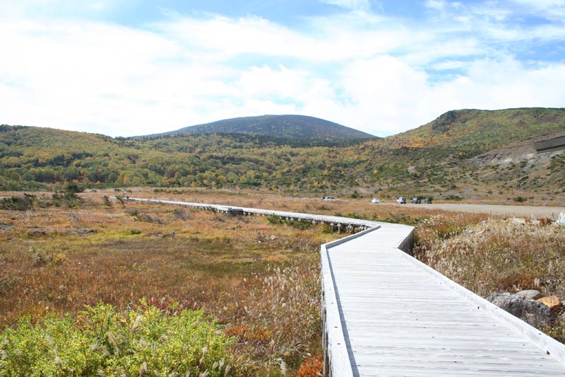 Jododaira Visitor Course leading to visit Azuma-Kofuji. (Image credit: 福島県観光物産交流協会)