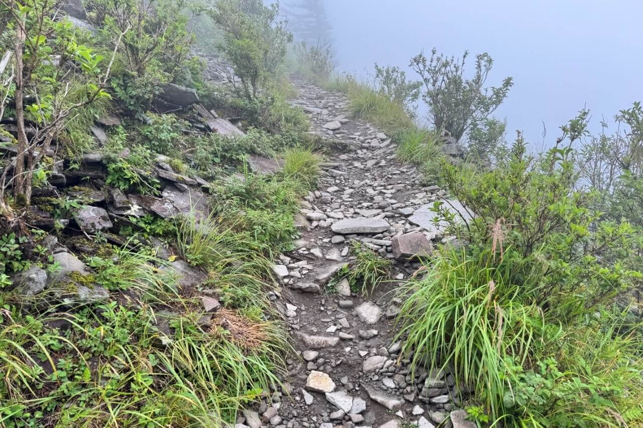 ▲濃霧中的步道（共有2張圖，看下一張→）