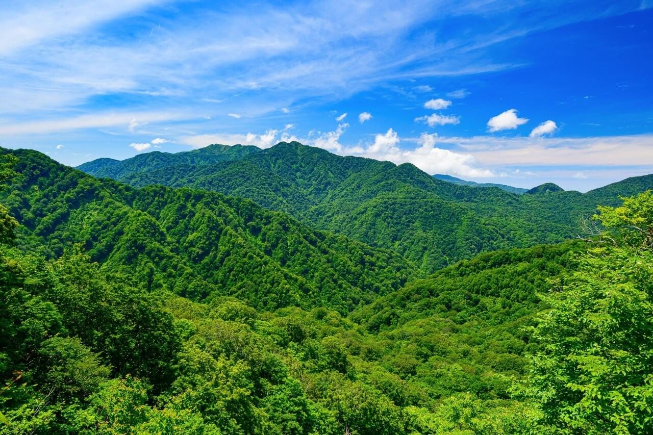 世界自然遺產白神山地，橫跨青森與秋田兩縣