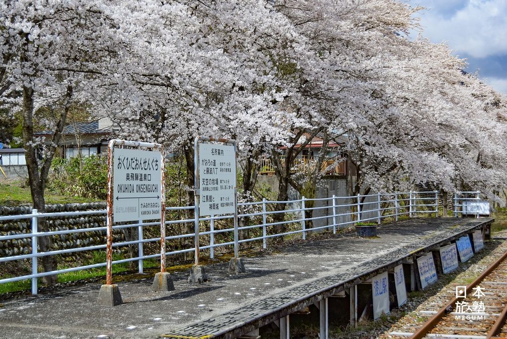 過去的候車月台，在春天被滿滿的櫻花所包圍，如夢似幻