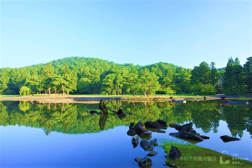 綠意盎然的毛越寺周圍的庭園。 (Image credit: 岩手県観光協会)