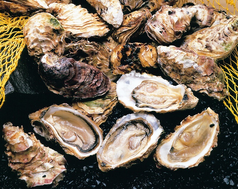 Matsushima oysters. (Image credit: 宮城県観光課)