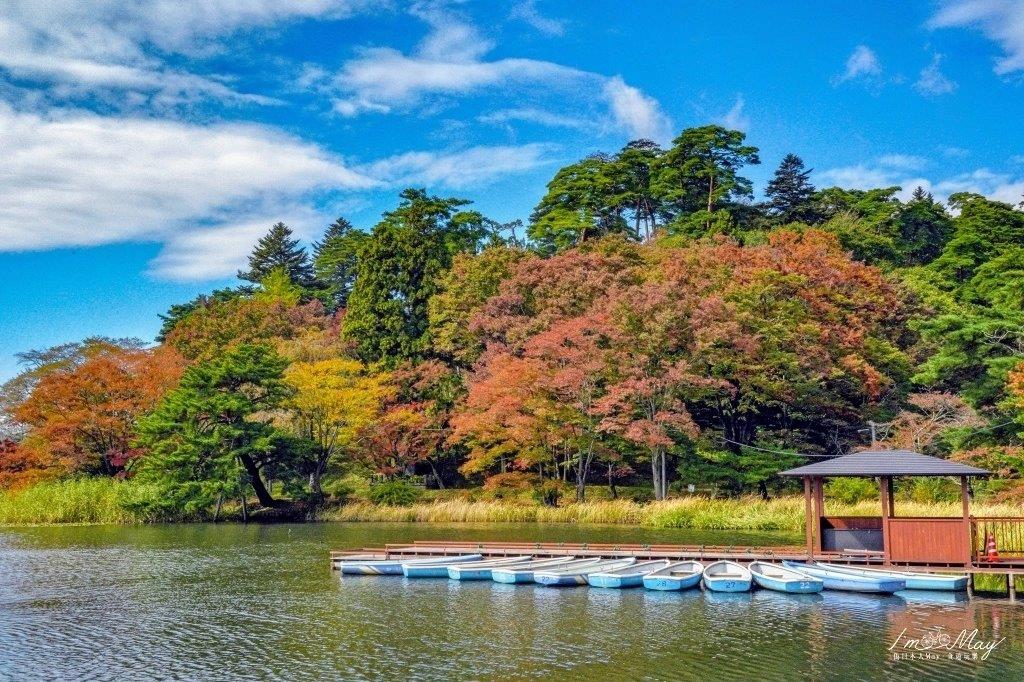 有湖的地方大多有遊船的設施