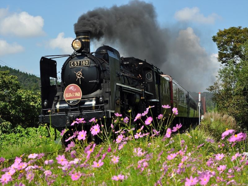 The SL Banetsu Monogatari in spring. (Image credit: JR East)