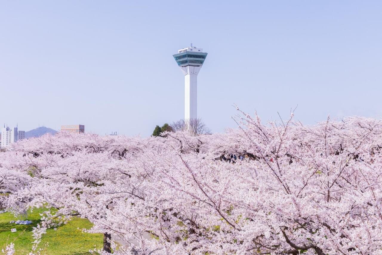 圖片來源：PIXTA