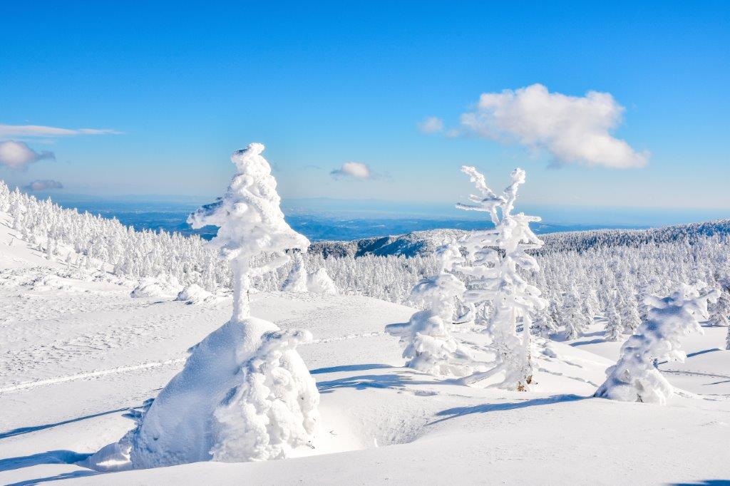 雖然越上面坡度越抖，站在雪地越久，雙腳也容易凍僵，但眼前所見景色是值得的。（大家要注意保暖與安全，還有自身的能力範圍，不要受傷與凍壞了）