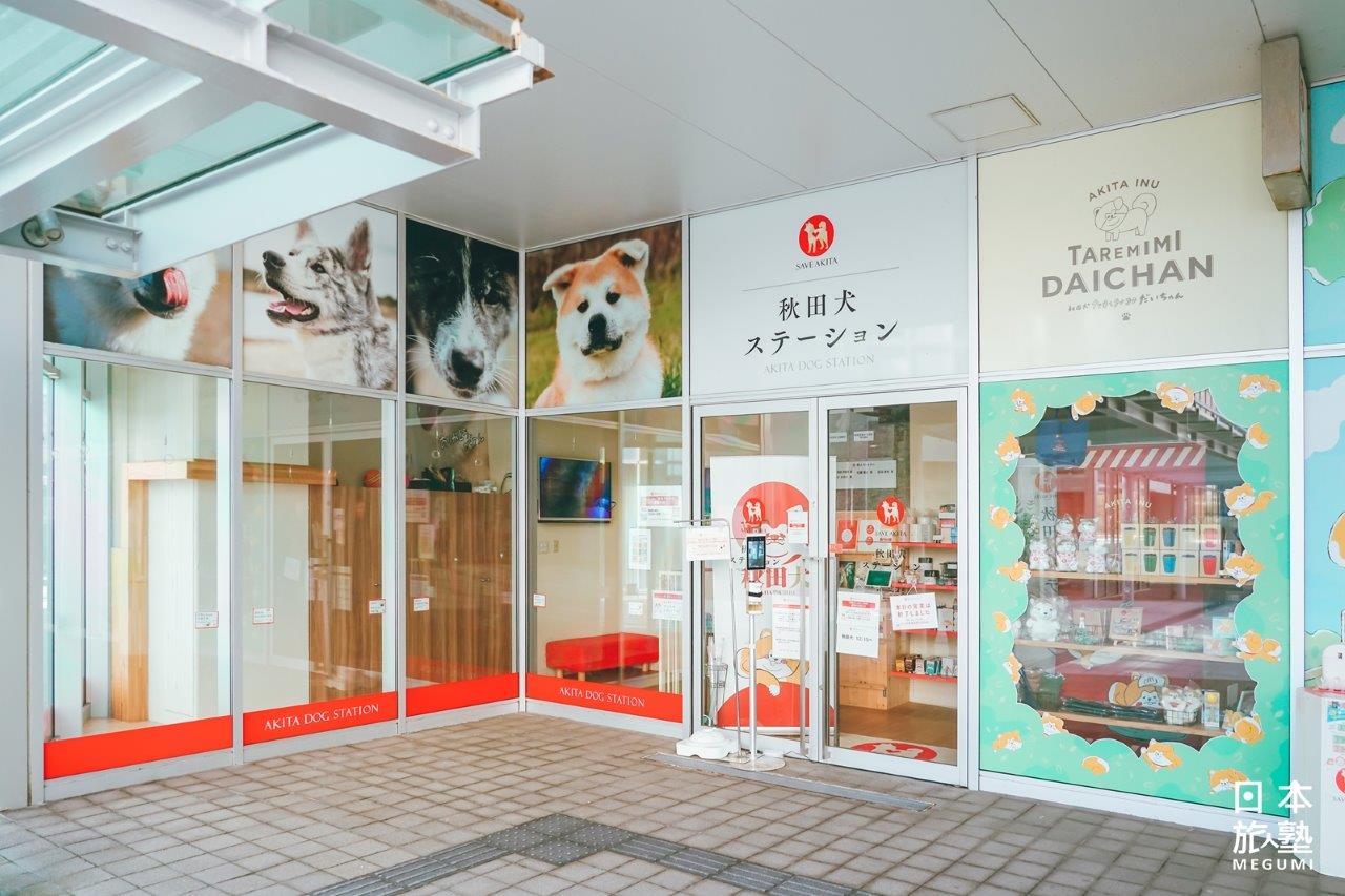 秋田犬Station不僅可以購買秋犬