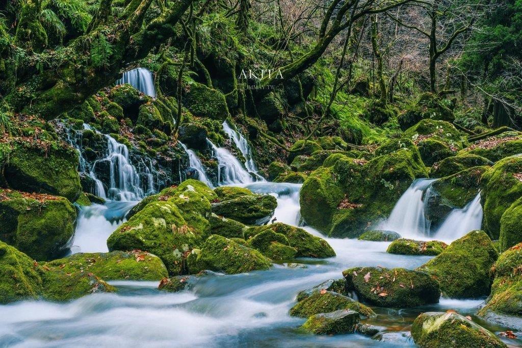 森林裡的夢幻祕境、經歷數十年累積的湧泉瀑布群「元滝伏流水」