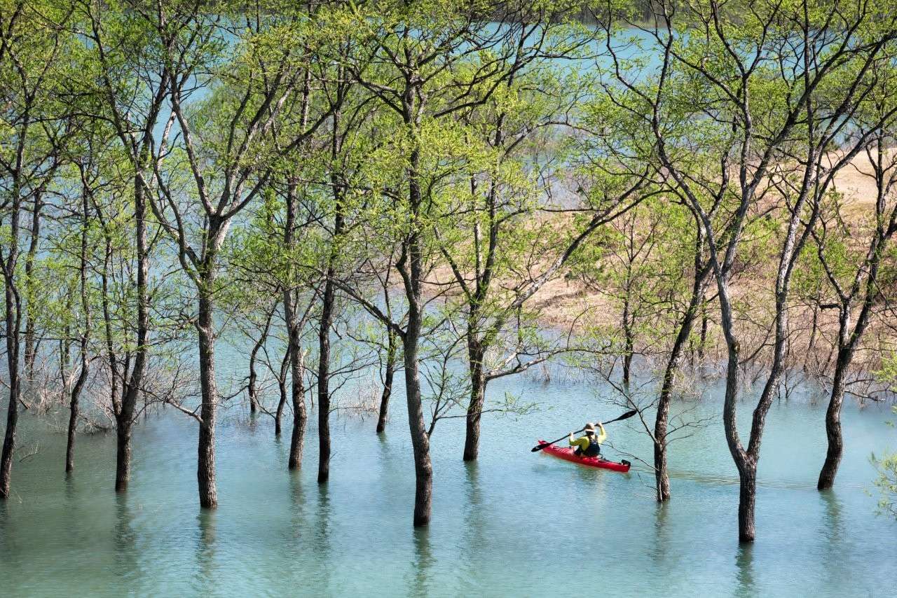 山形縣飯豐町只出現兩個月的夢幻奇景「白川湖水沒林」還有水上活動等你來玩！