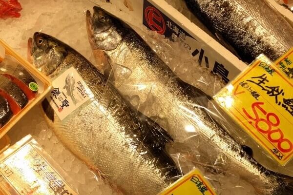 魚和高湯：日本料理的精髓，探索三陸海岸！