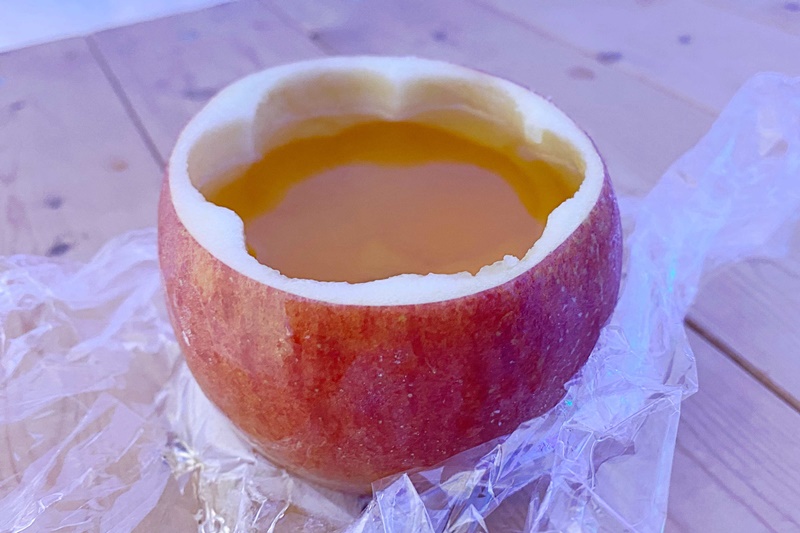 冬限定！奧入瀨溪流冰瀑、十和田湖冬物語