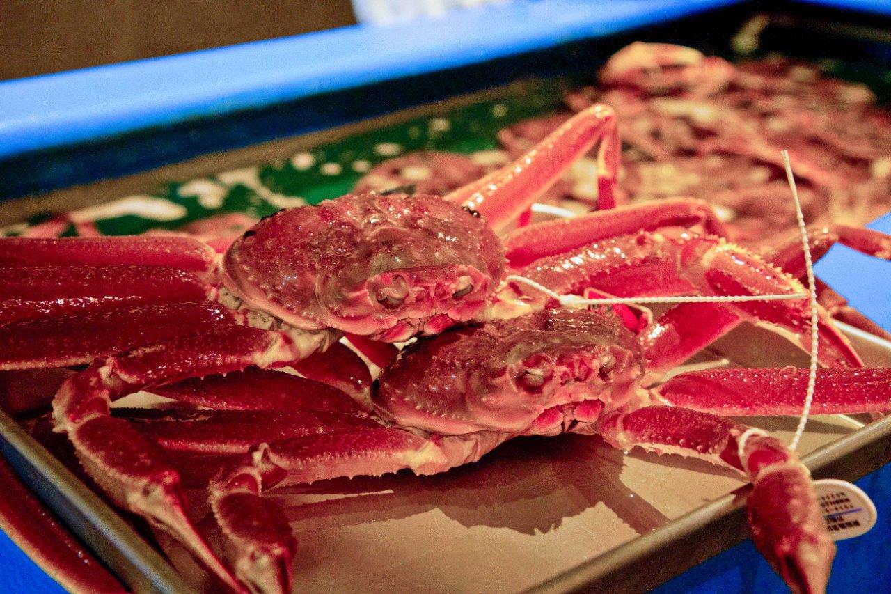 新潟・北陸魅力之旅，品嚐當季最美味的螃蟹與海鮮，走訪當地最知名的經典景點