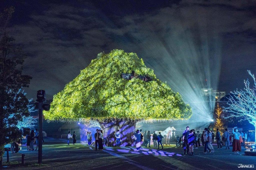 2022-2023東京人氣冬季點燈：大井競馬場TOKYO MEGA Illumination搶先看