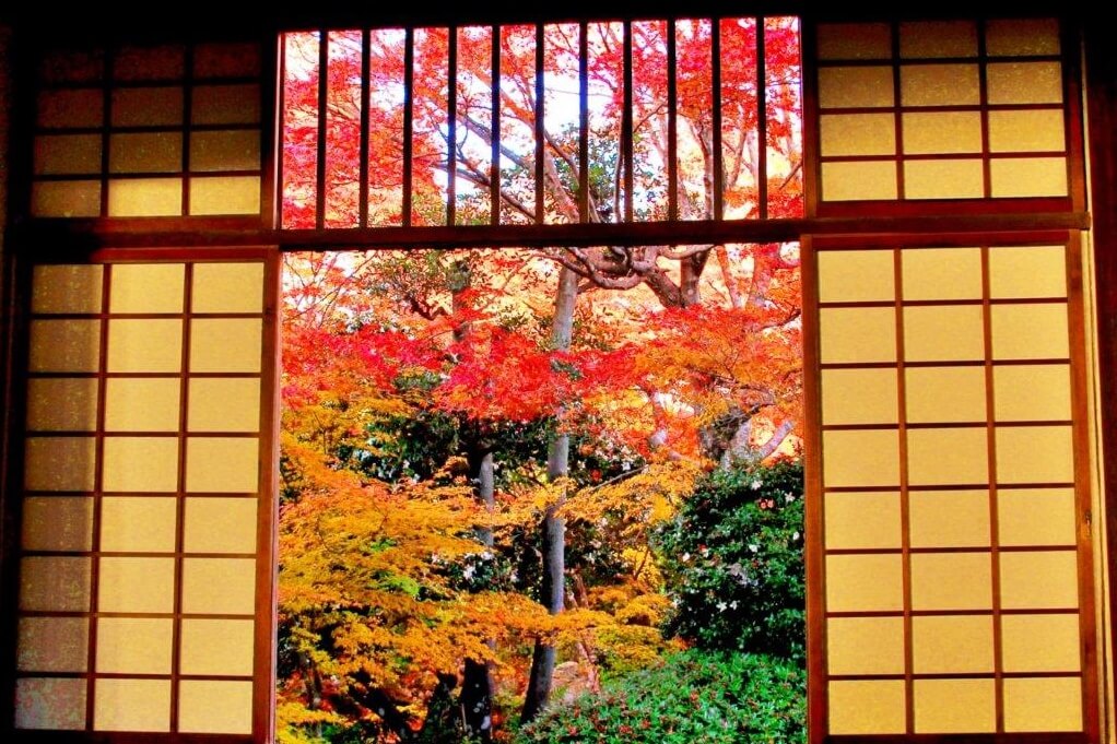 【京都 | 鷹峰三寺】源光庵、常照寺、光悅寺：遠離人群，迷人的紅葉參道與窗景