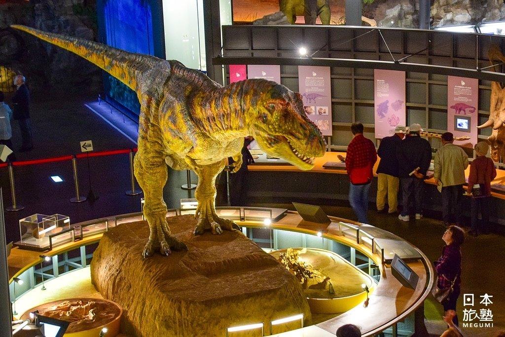 勇闖侏儸紀！（下）到恐龍博物館看恐龍、發掘化石尋恐龍