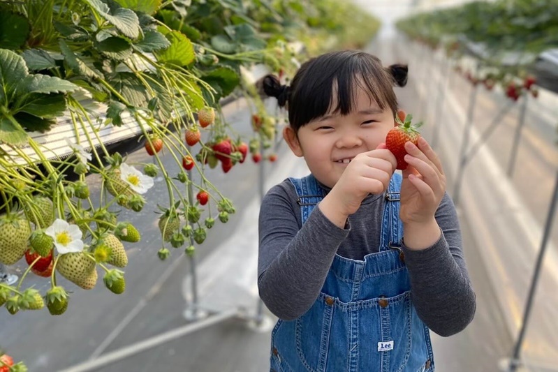 【線上遊日講座】仙台‧名取沿岸