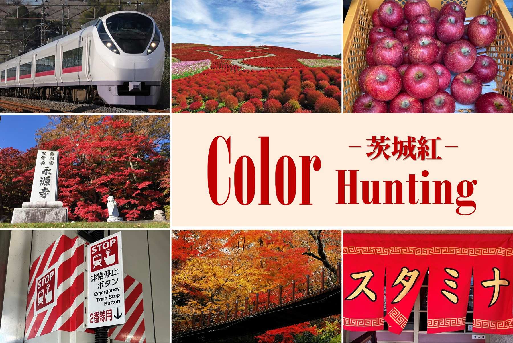 Color Hunting怎麼玩？日本JR列車長帶你蒐集9個「茨城紅」