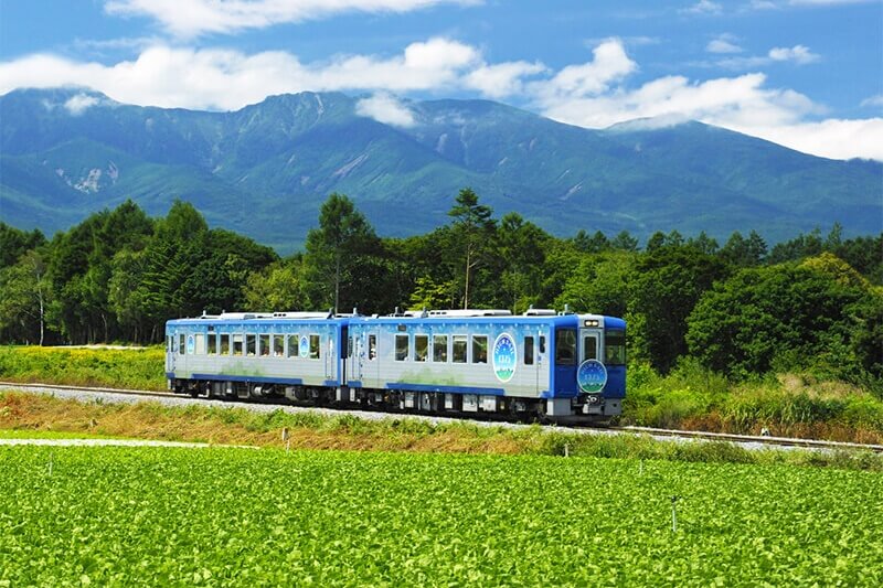 伸手摘顆星：HIGH RAIL 1375