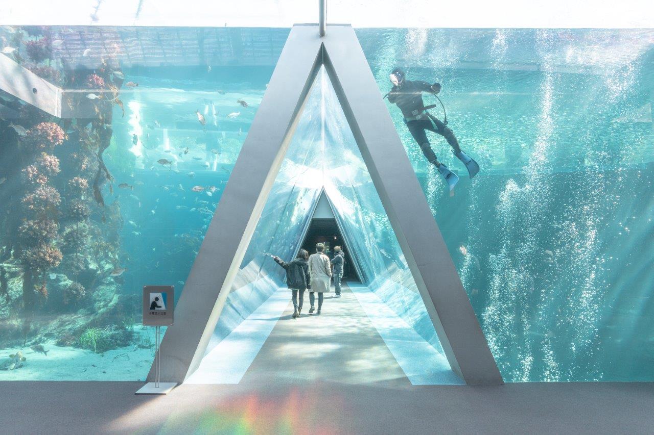 最網美的海底隧道，富含多元海洋教育的福島環境水族館