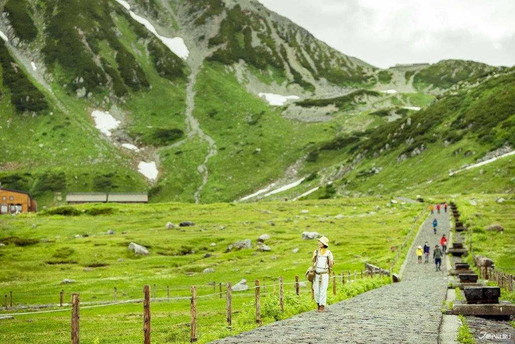 日本傳統魅力再發現 #02富山觀光篇：藥商小鎮、雨晴海岸與立山北阿爾卑斯山脈路線