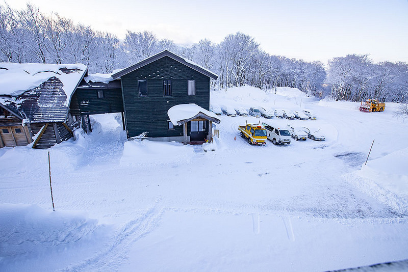 必看冬季日本雪地自駕注意事項，誠心希望大家快樂出門、平安回家