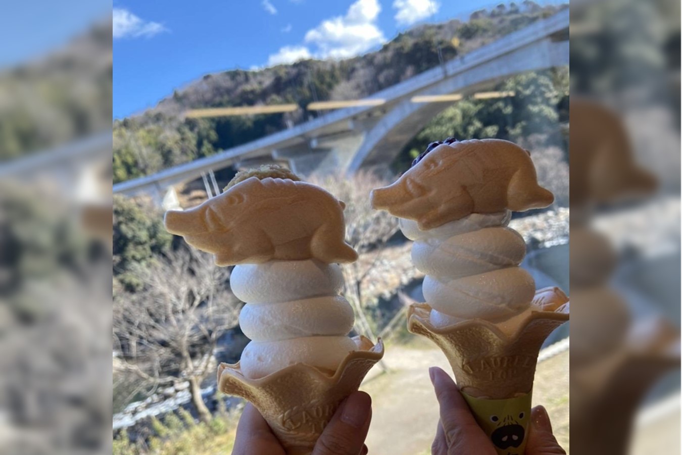 伊豆必收B級美食推薦：自慢布丁、野豬最中霜淇淋、潮鰹柴魚烏龍麵、炸金目鯛漢堡千萬別錯過