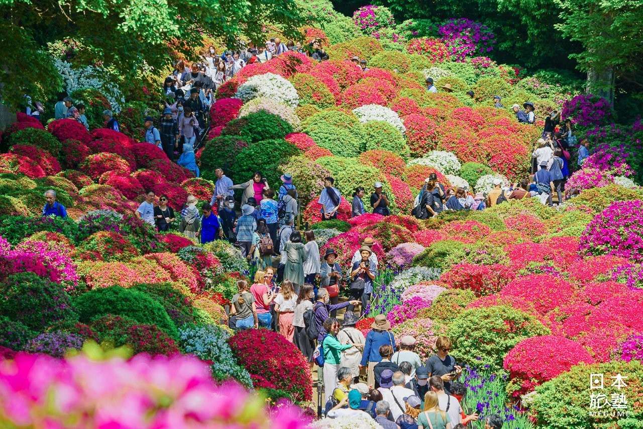 ＜JR日暮里車站＞ 朱紅鳥居與三千株花海的絢麗競演！遇見東京下町的春日絕景