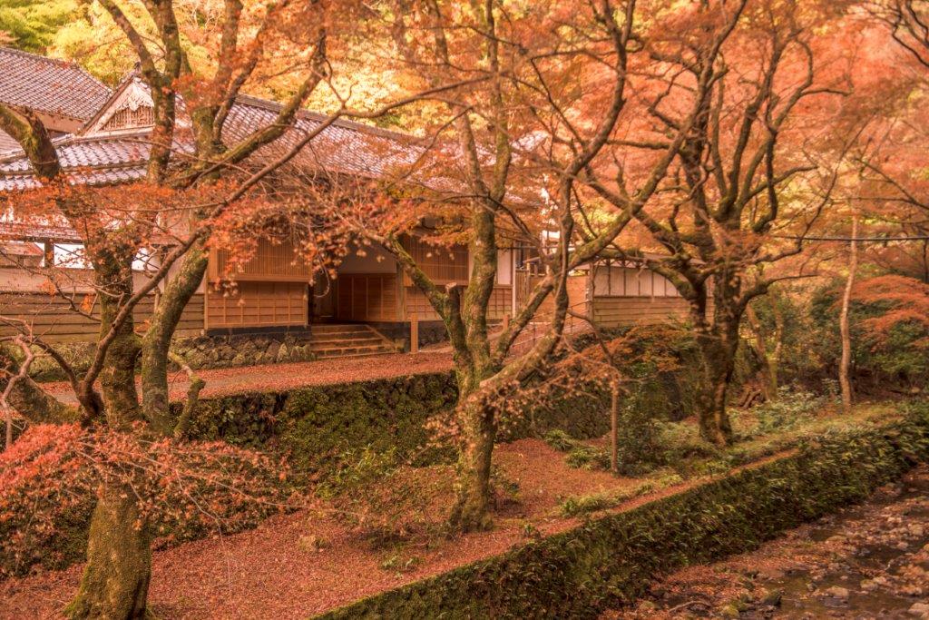 島根景點：鰐淵寺楓葉、絕美紅葉階梯、百年銀杏大樹，到出雲神話秘境賞楓