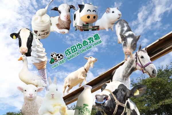 【線上遊日講座】療癒千葉輕旅行！成田夢牧場樂悠遊