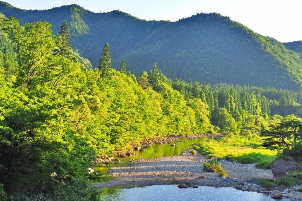 抱返溪谷：走進夏綠、秋楓裡的溪谷秘語