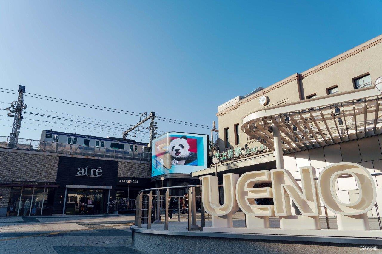 上野秋葉原站atre好買又好吃 下雨也不怕的美食購物玩樂指南