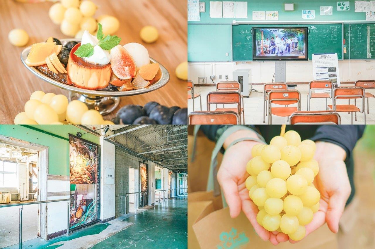 仙台荒濱小旅行：順遊JR水果公園仙台荒濱與震災遺址荒濱小學