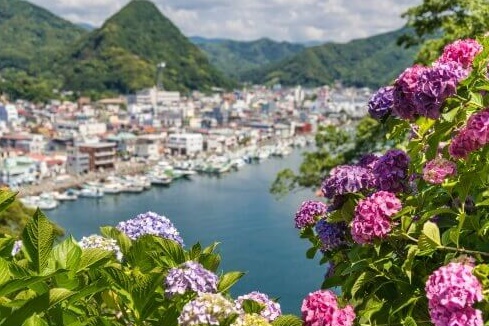 使用東京廣域周遊券從東京出發的4個輕旅行