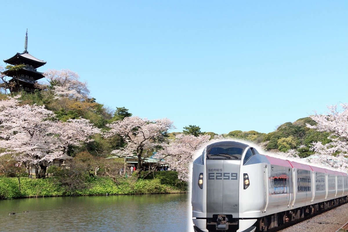 快筆記！在地人的橫濱私房景點推薦，一起搭乘成田特快前往橫濱去