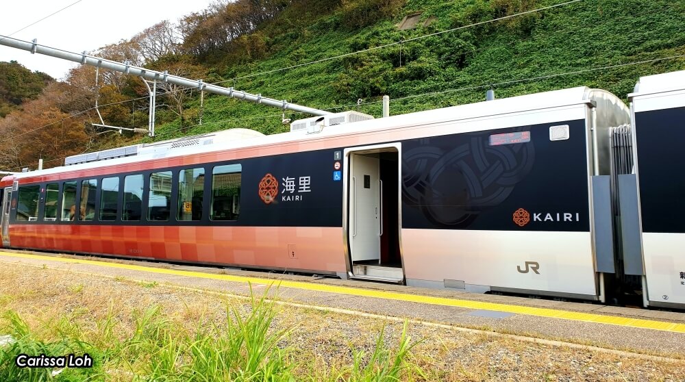 和海里一起在日本海游弋