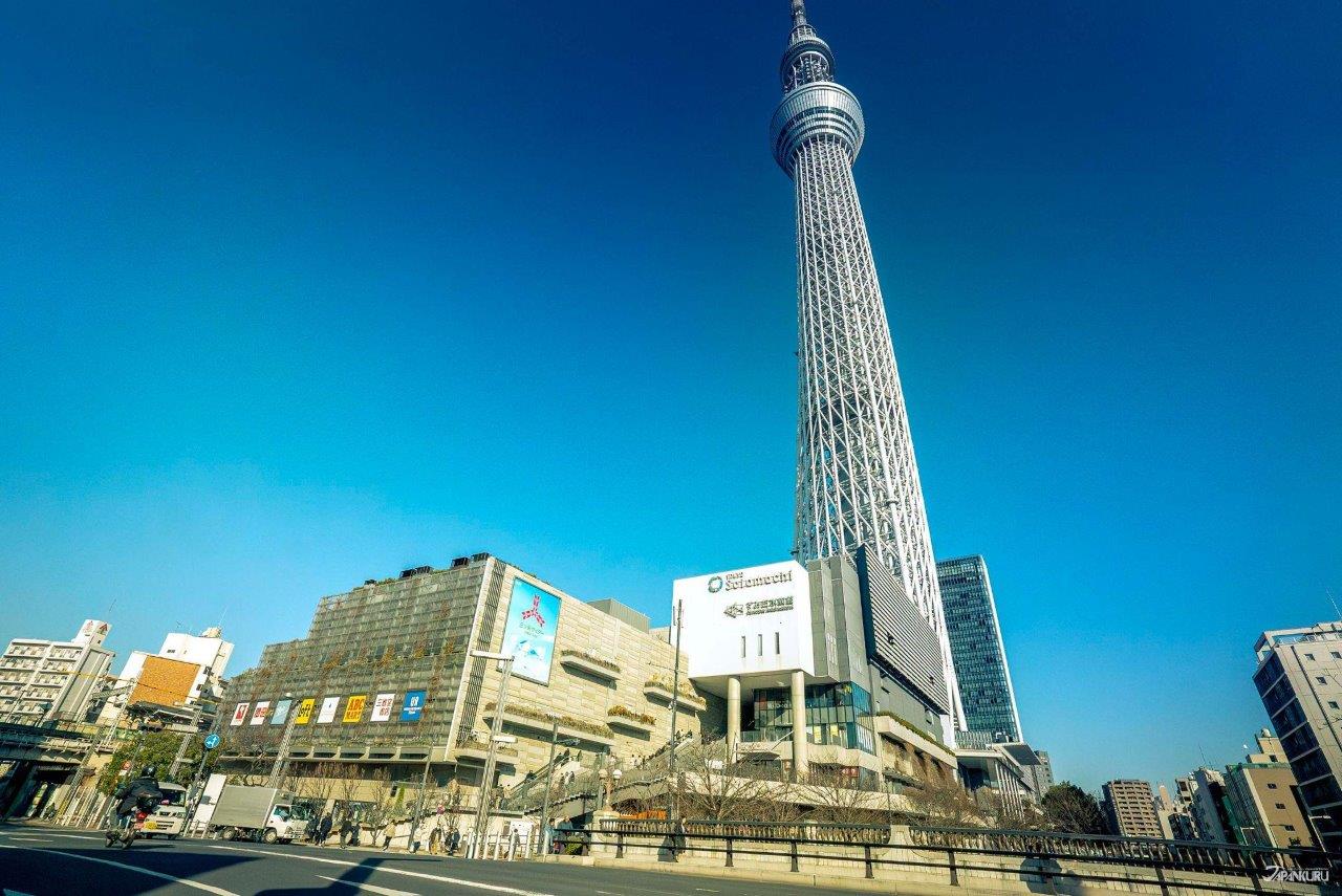 2024墨田水族館 東京晴空塔旁遇見企鵝家族 館內幸福感再升級