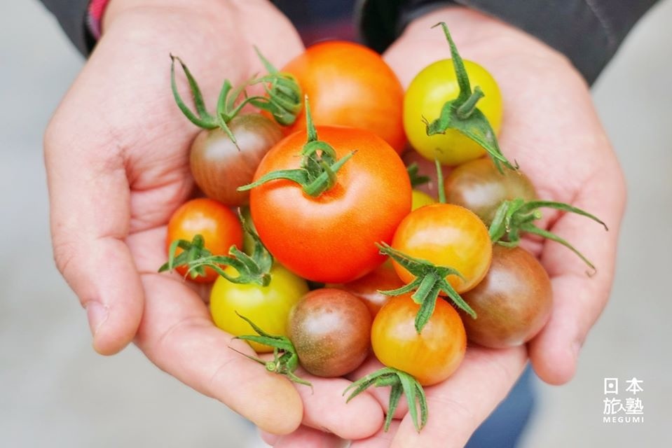 磐城市小旅行～動靜皆宜的在地體驗活動5選