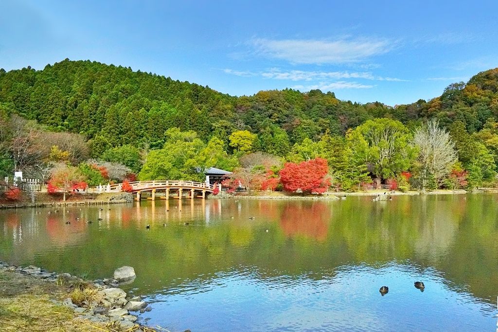 磐城市小旅行～身心放鬆的在地療癒風景5選