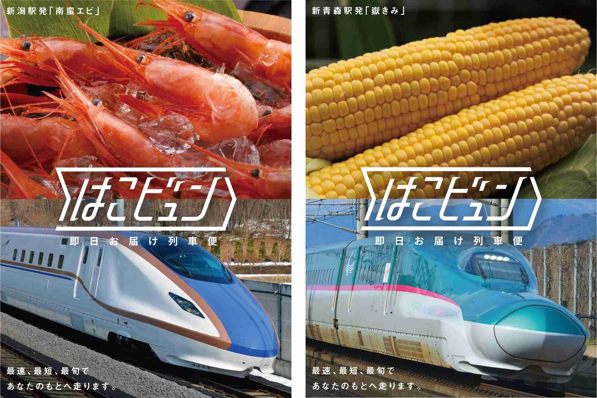 用jr東日本鐵路周遊券 東北地區 探索東北的自然風光 Jrtimes