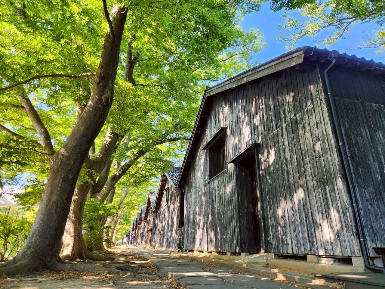 山形・庄內─走進千年歷史與自然共存的日本原風景