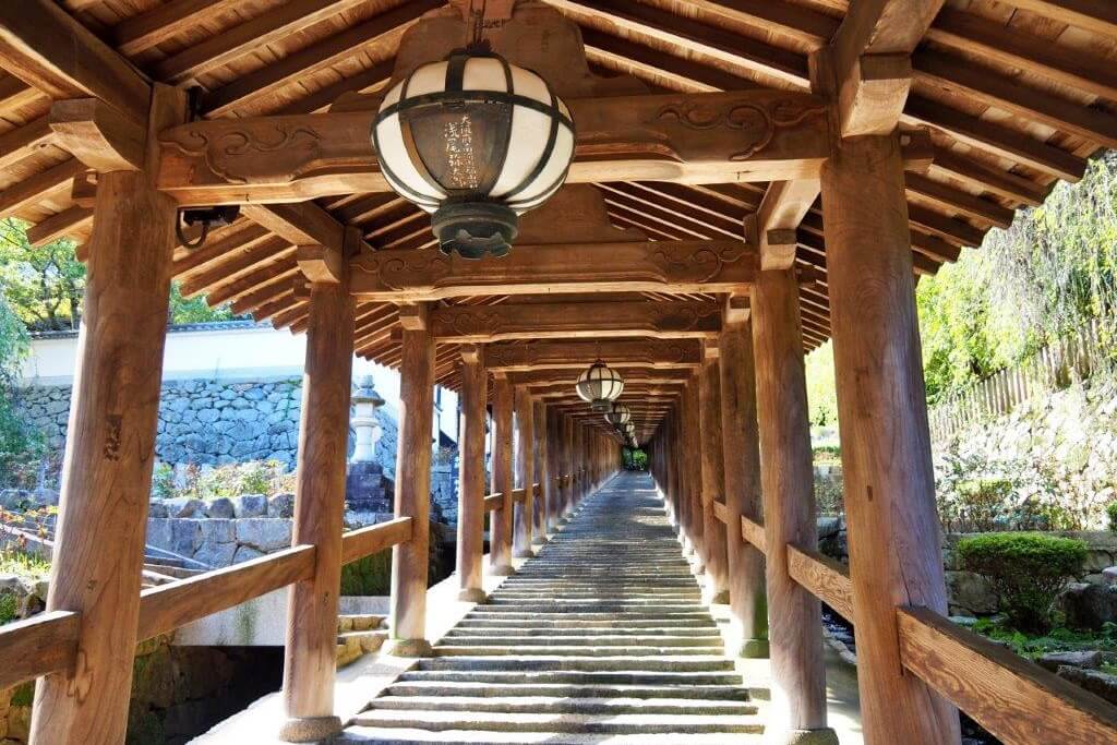 大和國長谷寺：時光與綠意一同渲染的心靈畫作，有禪、有風，也有四季